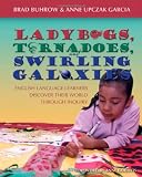 Ladybugs, Tornadoes, and Swirling Galaxies