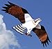 Osprey Jackites Tyvek Bird