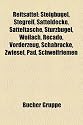 Reitsattel: Steigbugel, Stegreif, Satteldecke, Satteltasche, Sturzbugel, Woilach, Recado, Vorderzeug, Schabracke, Zwiesel, Pad, Sc