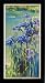 Brushstrokes Fine Art A674-A034 Markland Magic II Painting - Costa