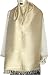 Head Scarves Casual Accessories Premium Silk 22 x 72 inches(srfp203)