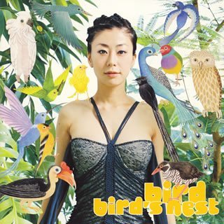 bird��s nest