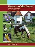 Flowers of the forest : plants and people in the New Forest National Park