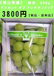 【岡山県産】マスカット　オブ　アレキサンドリア　特秀600ｇ【送料無料】