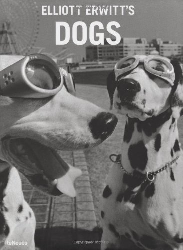 Produkt-Bild: Elliott Erwitt`s Dogs