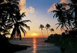 Tropical Sundown 276 Wall Mural
