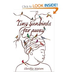 Tiny Sunbirds Far Away