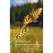 Field Guide to the Sedges of the Pacific Northwest