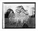 Historic Print (S): Geipp, Lahu[?], Mathew, La Fountaine, Gallaudet, 1920