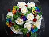 ���C���{�[���[�Y�ƃo���̃t�@�b�V���i�u���E�u�[�P �y���z