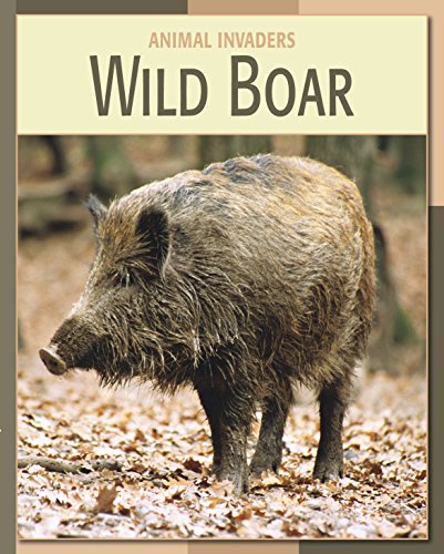 Wild Boar (21st Century Skills Library: Animal Invaders)