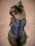 Kitty Holster Cat Harness, X-Large, Denim Blue