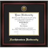 Northwestern University Gold Embossed Medallion Diploma Frame