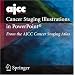 AJCC Cancer Staging Illustrations in PowerPoint�: From the AJCC Cancer Staging Atlas