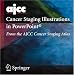 AJCC Cancer Staging Atlas: AJCC Cancer Staging Illustrations in PowerPoint® From the AJCC Cancer Staging Atlas