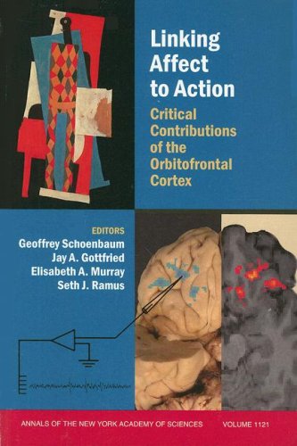 City Travel Guides Discounted  Books : Linking Affect to Action: Critical Contributions  of the Obitofrontal Cortex (Annals of the New York Academy of Sciences)