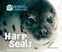 Harp Seals: Animals of the Snow and Ice