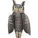 Garden Stake 3D Metal Outdoor Decor Jiggle Wings Owl (33H) - Regal Art #S983
