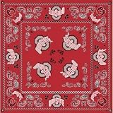 Ohio State University Bandana Team Color Case Pack 84