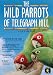 The Wild Parrots of Telegraph Hill