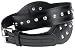 Rampage Juniors' Stud Belt