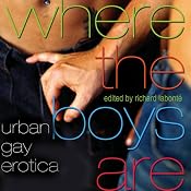 Where the Boys Are: Urban Gay Erotica | [Richard Labonté]