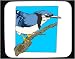 Decorated Mouse Pad with blue, jay, branch, bird, animal