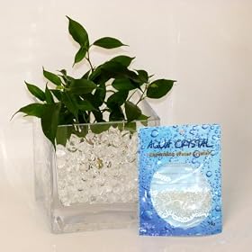 'Aqua Crystal' Expanding Water Storing Gel Bead Crystals - CLEAR - 10g bag