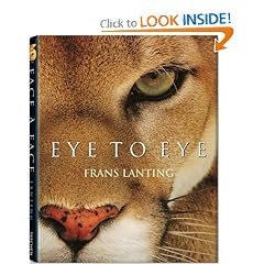 Eye to Eye: Intimate Encounters with the Animal World