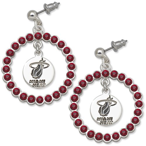 NBA Miami Heat LogoArt Spirit Earrings