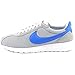 Nike Men's Roshe LD-1000 QS Casual Shoe