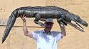 MASSIVE 6-FEET LONG STUFFED ALLIGATOR / CROCODILE - GIANT PLUSH ANIMAL WEIGHS 10-POUNDS - JUMBO HUGE ENORMOUS GIGANTIC LIFESIZE REALISTIC TOY / COLLECTIBLE - COLOR: DARK OLIVE GREEN