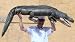 MASSIVE 6-FEET LONG STUFFED ALLIGATOR / CROCODILE - GIANT PLUSH ANIMAL WEIGHS 10-POUNDS - JUMBO HUGE ENORMOUS GIGANTIC LIFESIZE REALISTIC TOY / COLLECTIBLE - COLOR: DARK OLIVE GREEN