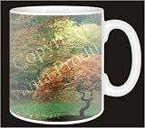 Review Advanta  / AUTUMN TREES PRINT Coffee Mug