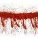 Beaded Eyelash Trim Pk/36