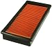 FRAM PPA3660 Air Hog Panel Filter