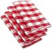 DII Flame Red and White Checkers Napkin Set of 4
