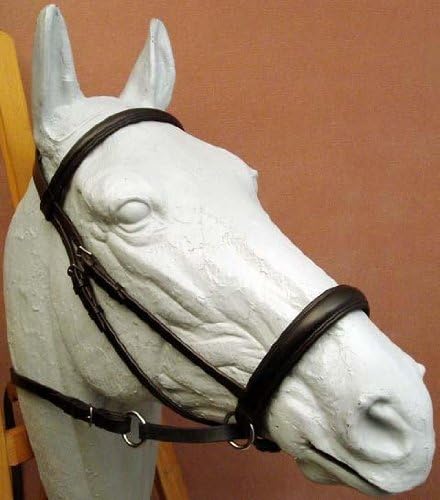 Dr. Robert Cook Bitless Bridle Padded Leather Headstall
