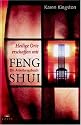 Heilige Orte erschaffen mit Feng Shui: Ein Anleitungsbuch