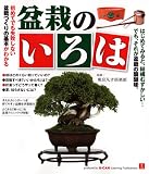 盆栽のいろは