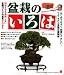 盆栽のいろは 4426604087 JPEG画像(小)
