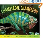 Chameleon Chameleon