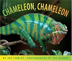 Chameleon Chameleon (Bccb Blue Ribbon Nonfiction Book Award (Awards))