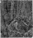 Albrecht (copyist) Altdorfer (The Virgin and Child in the forest) Art Poster Print - ...