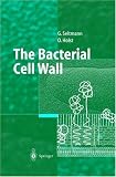 The Bacterial Cell Wall