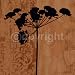 Herbage Silhouette Art Poster Print by Diane Moore, 20x20