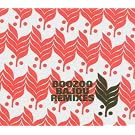 Boozoo Bajou Remixes