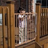 Cardinal Gate Stairway Special Kid Gate Brown