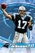 Jake Delhomme 2 NFL Panthers Art Poster Print 22x34