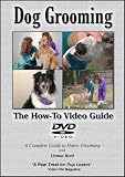 Dog Grooming: The How-To Video Guide